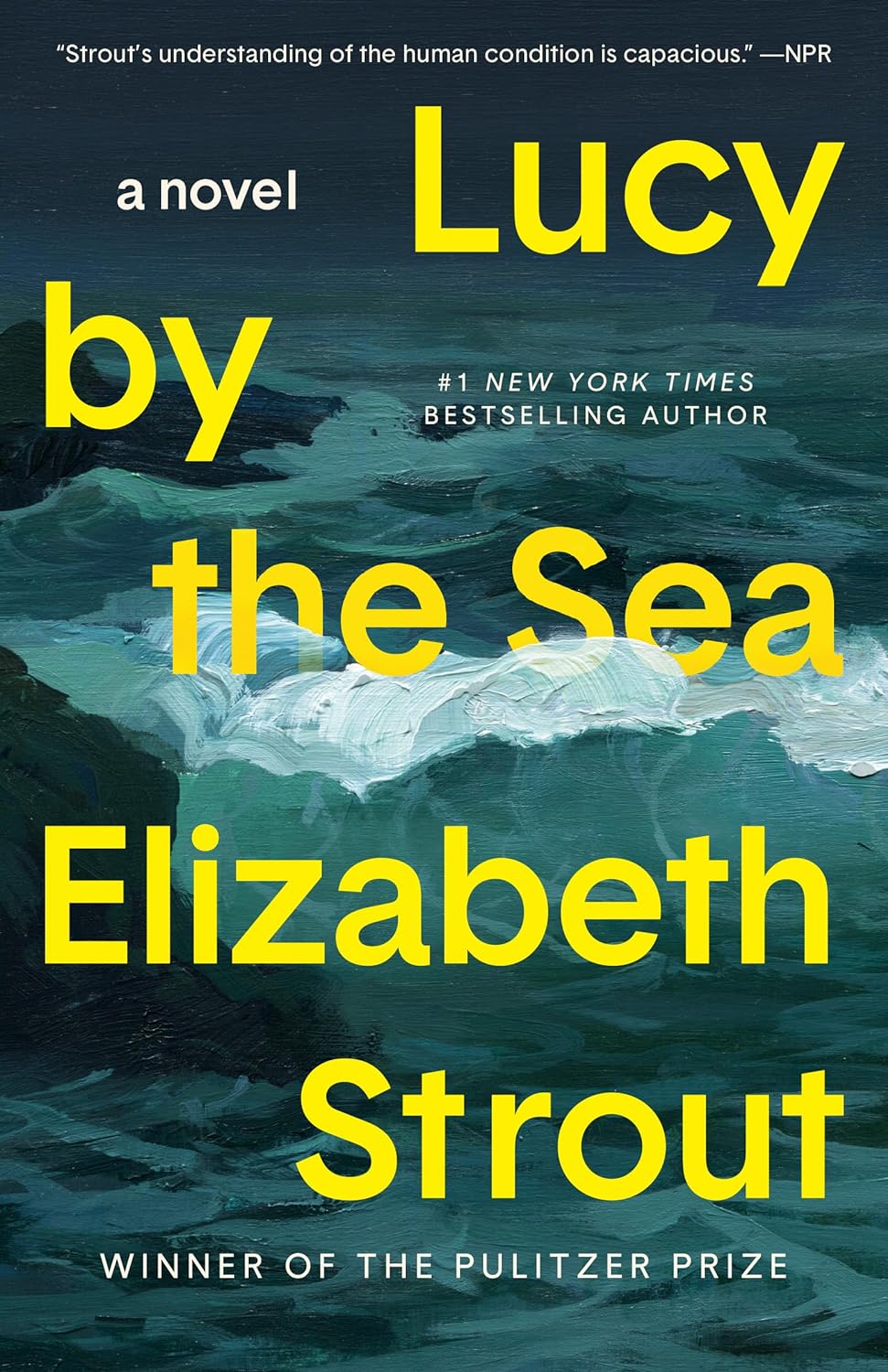 Lucy by the Sea book cover