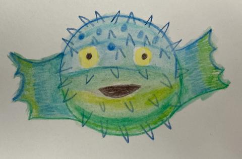 Picture of a pufferfish