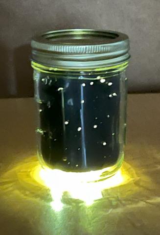 Glass jar with lights in it